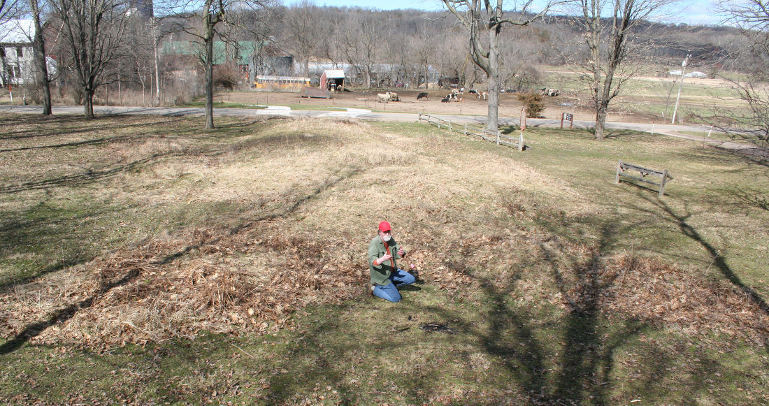 Man Mound man onsite